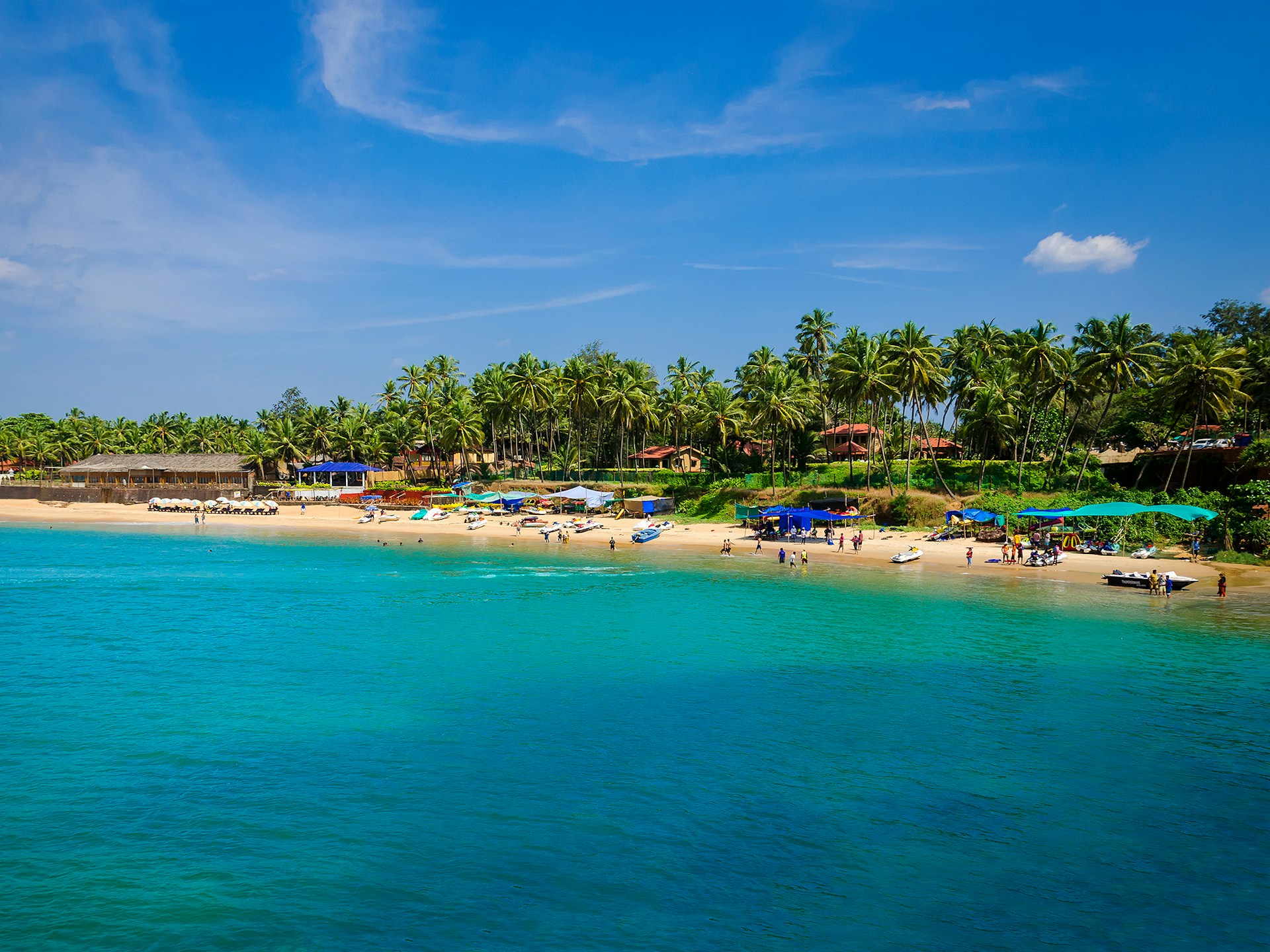 Palm trees beside the beach on a tropical getaway
